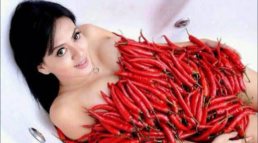 &#91;HOT&#93; Cerita 'Cabe-cabean' di Balik Tembok Rumah Dinas DPR