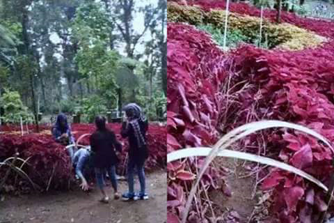 baru aja ada tmpt bagus udah mau di rusak alay lagi!