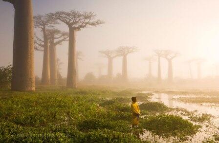 20 Foto terbaik National Geographic 2015