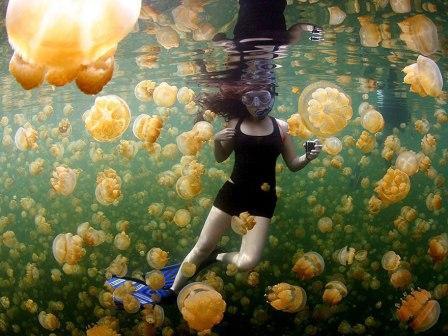20 Foto terbaik National Geographic 2015