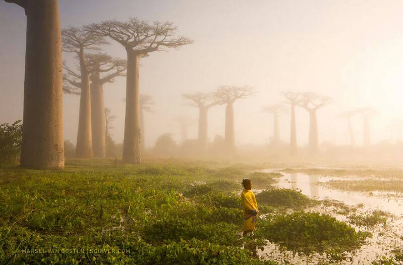 Top 20 National Geographic 2015: Mana Favorit Agan?