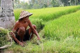 penyebab indonesia hanya jadi negara berkembang