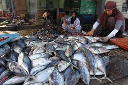 penyebab indonesia hanya jadi negara berkembang