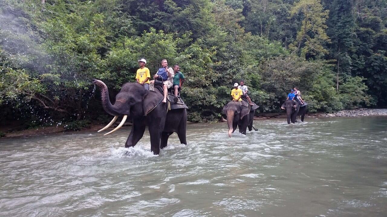 Mau mandiin dan dimandiin gajah? Di sini tempatnya, Gan 