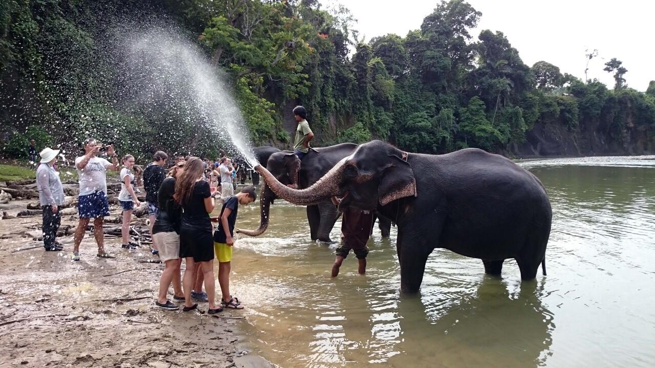 Mau mandiin dan dimandiin gajah? Di sini tempatnya, Gan 