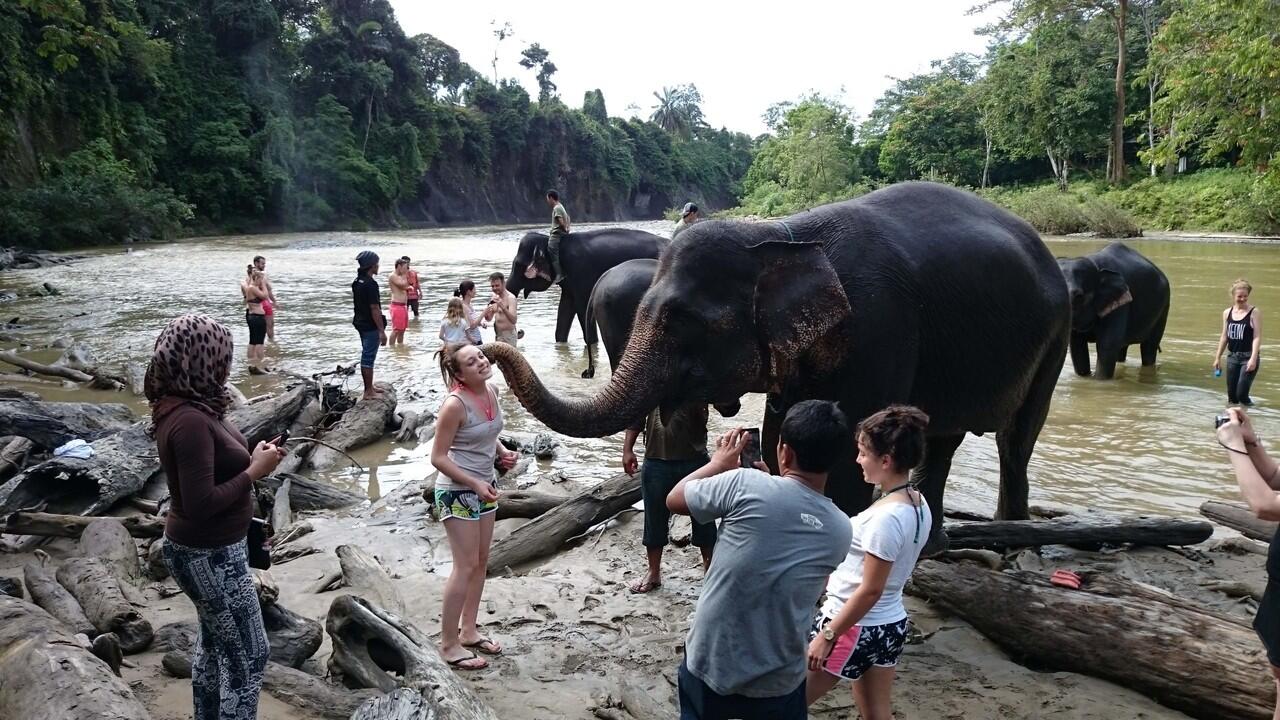 Mau mandiin dan dimandiin gajah? Di sini tempatnya, Gan 