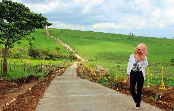 LOKASI WISATA PETERNAKAN PADANG MENGATAS, DITUTUP UNTUK UMUM