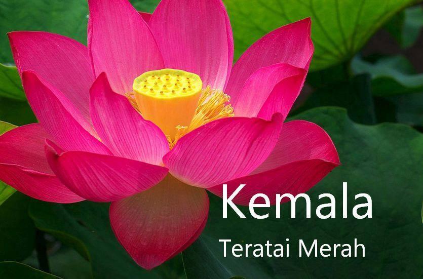 &#91;25 Foto&#93; Mungkin Nama Kamu Berasal dari Bahasa Sansekarta, BACA SAJA ARTINYA!