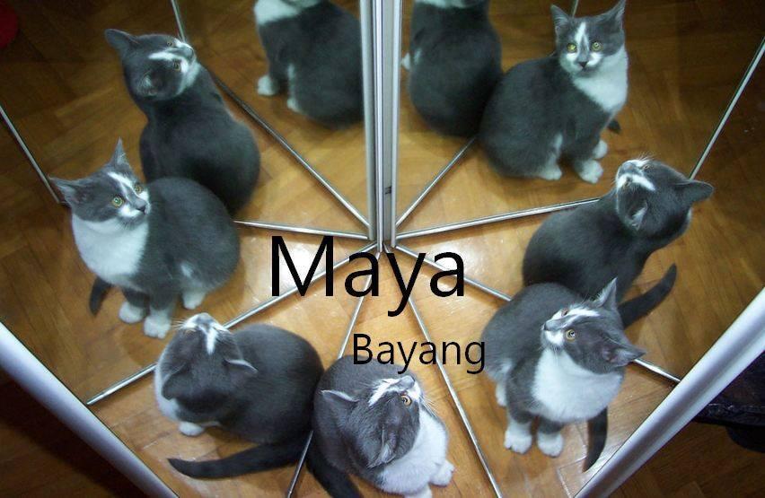 &#91;25 Foto&#93; Mungkin Nama Kamu Berasal dari Bahasa Sansekarta, BACA SAJA ARTINYA!