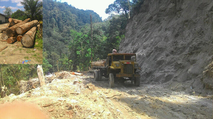 Ini cara mudah melakukan GO GREEN untuk negara Indonesia!!
