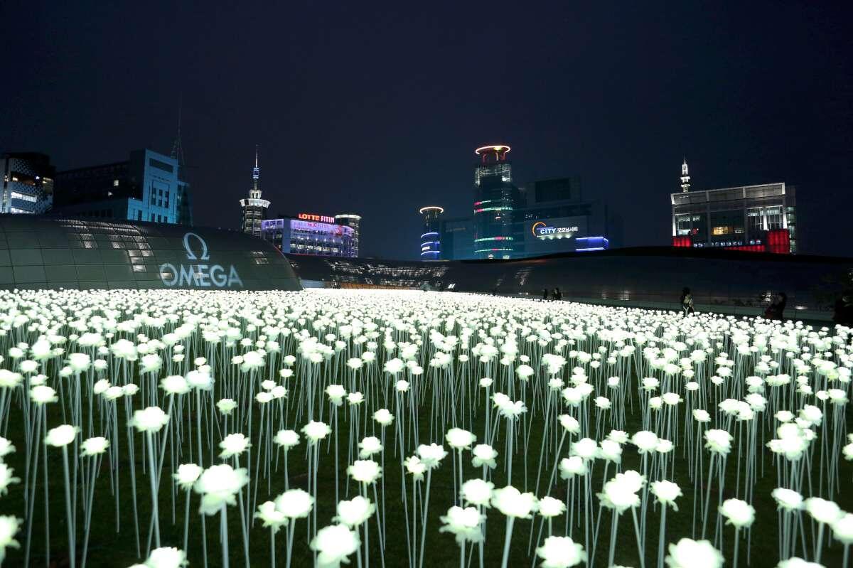 INDAHNYA TAMAN DI KOREA SELATAN TANPA PASUKAN ALAY SI PERUSAK