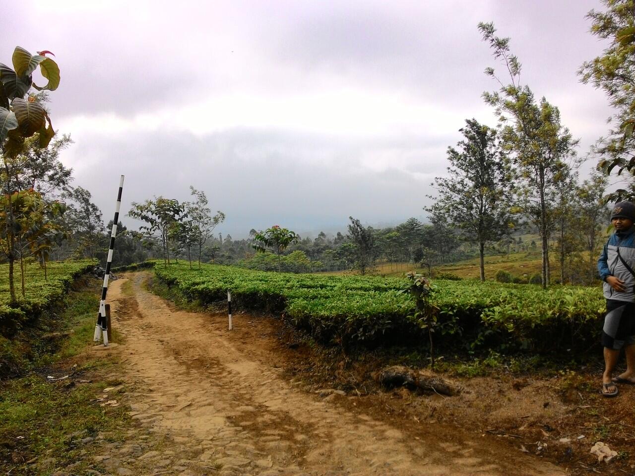 Indahnya Indonesia ( Gunung Cikuray Garut ) 