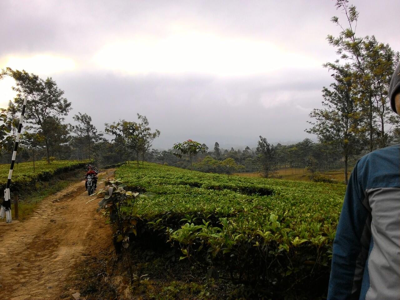 Indahnya Indonesia ( Gunung Cikuray Garut ) 