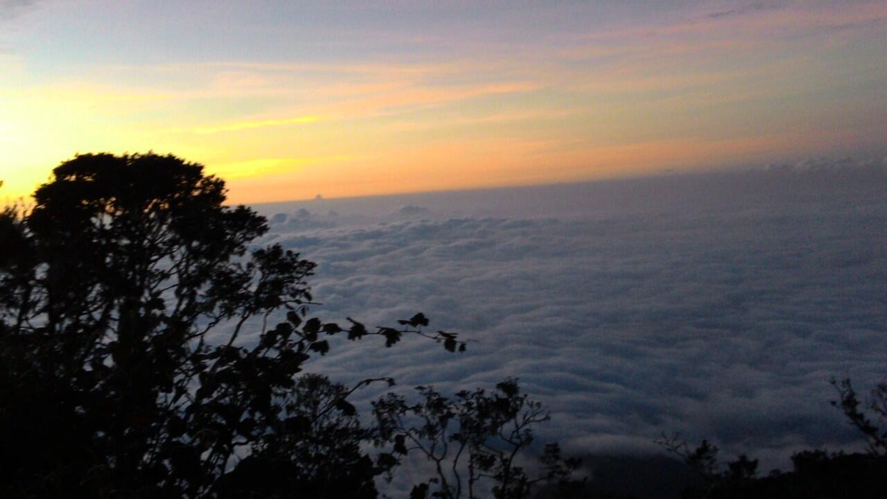 Indahnya Indonesia ( Gunung Cikuray Garut ) 