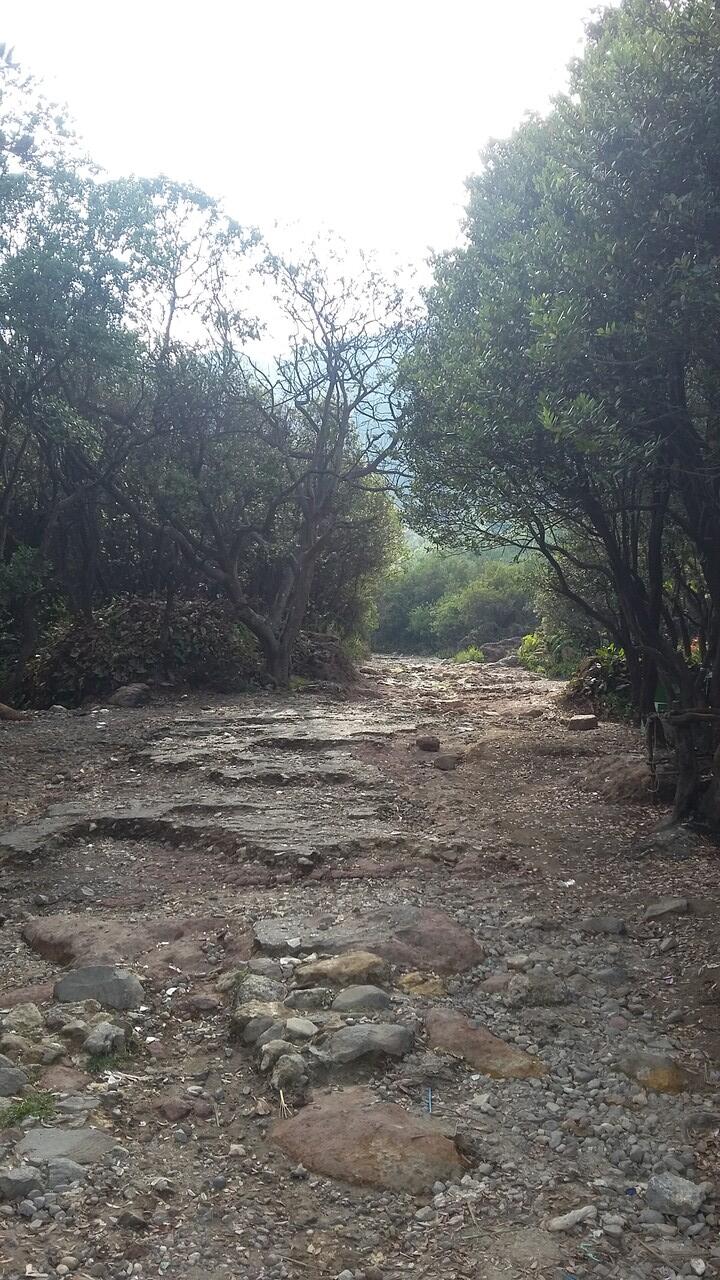 Catper Gn. Papandayan 18 - 19 November 2015