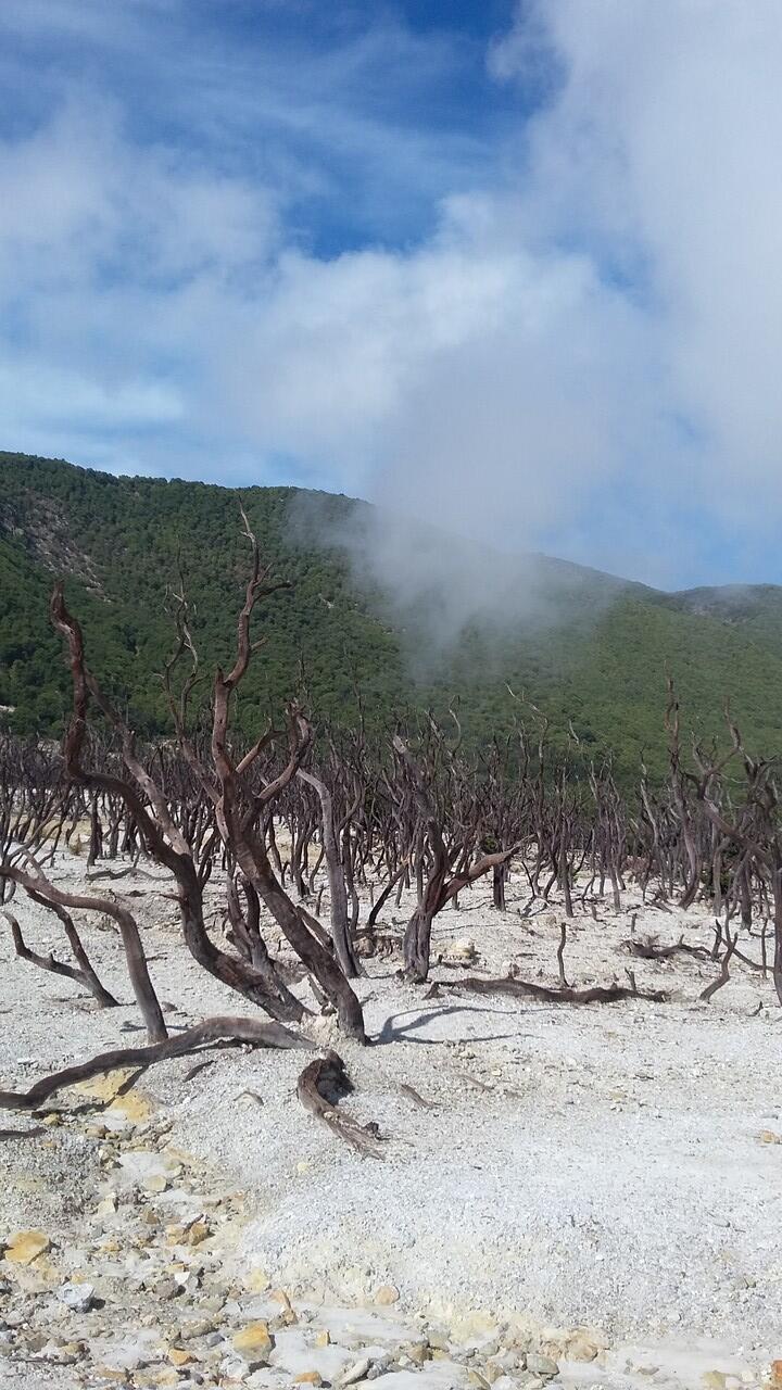 Catper Gn. Papandayan 18 - 19 November 2015