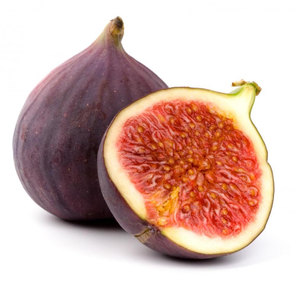 4 jenis cultivar pohon Tin atau Ara atau Fig