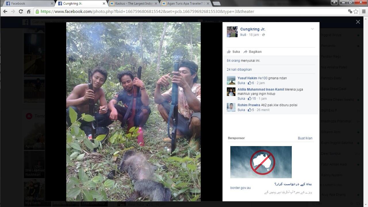 Apa yang anda katakan tentang pembunuhan hewan yang 1 ini ?? 