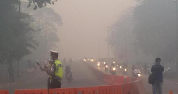 TERIMAKASIH PAK HAKIM, TELAH BEBASKAN PEMBAKAR HUTAN YANG DIGUGAT 7,8 T