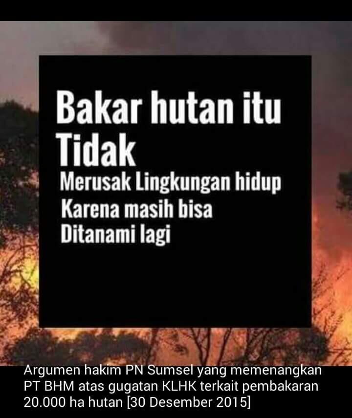 TERIMAKASIH PAK HAKIM, TELAH BEBASKAN PEMBAKAR HUTAN YANG DIGUGAT 7,8 T