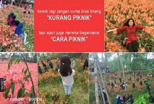 5 hal yang menghebohkan di Media Sosial Indonesia tahun 2015 