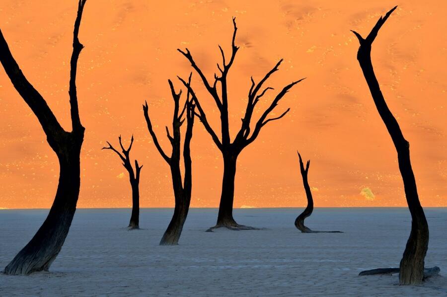 Foto dengan konsep Minimalist