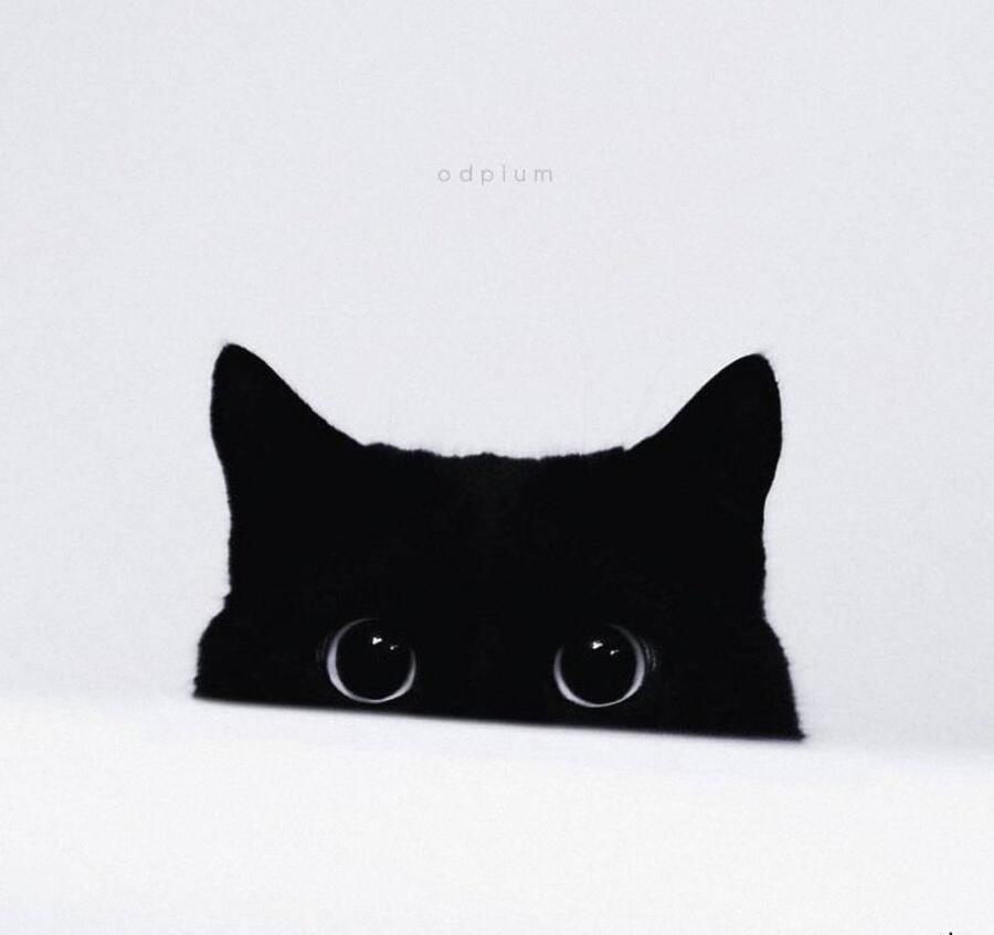 Foto dengan konsep Minimalist