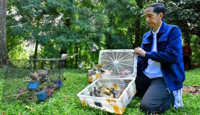 Hobi Baru Jokowi, Lepas Ratusan Burung dan Ikan