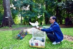 Lihat..Jokowi Lepas Burung di Bogor