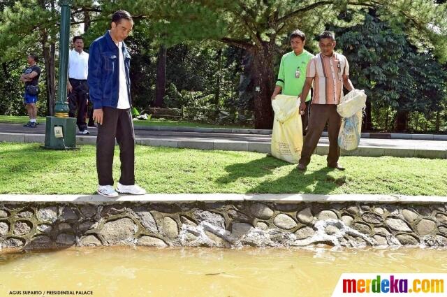 Presiden Jokowi Sebar Ratusan Katak di Istana Bogor