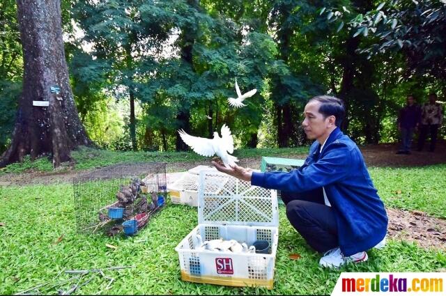 Presiden Jokowi Sebar Ratusan Katak di Istana Bogor