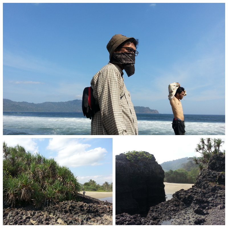Green Bay - Keindahan Ujung Pulau Jawa Bagian Timur