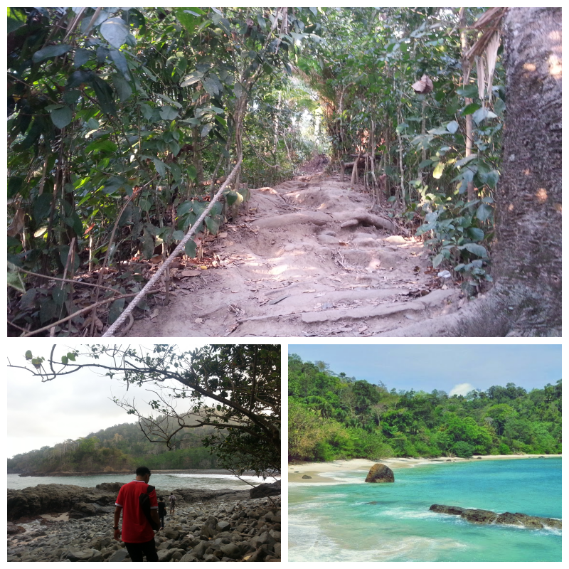 Green Bay - Keindahan Ujung Pulau Jawa Bagian Timur