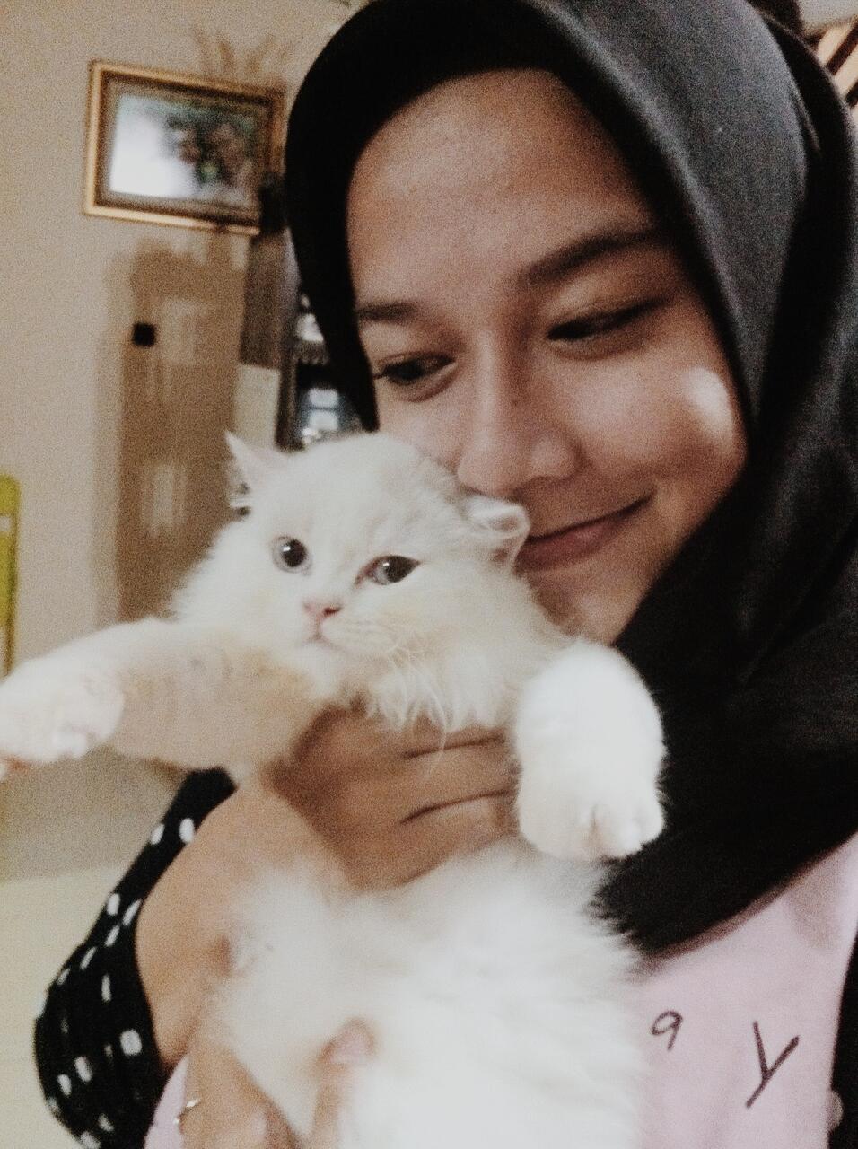 Penitipan Kucing Bintaro Tangerang Selatan Jualo