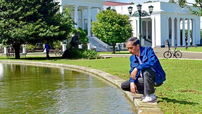 Tak Hanya Burung, Jokowi Juga Lepas Kodok di Istana Bogor
