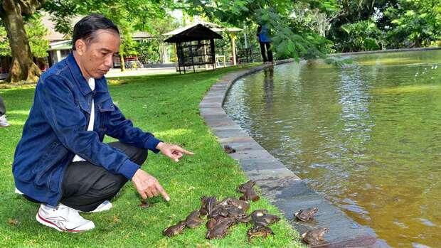 Tak Hanya Burung, Jokowi Juga Lepas Kodok di Istana Bogor
