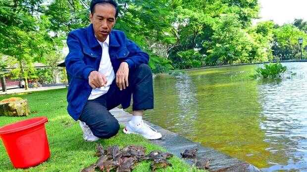 Tak Hanya Burung, Jokowi Juga Lepas Kodok di Istana Bogor