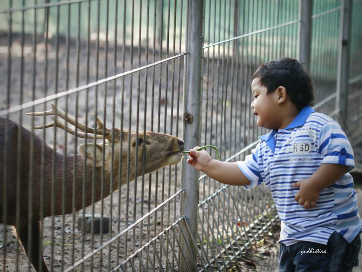 Yuk Gan, Mari Kita Ajarkan Untuk Mencintai Binatang Sejak Dini