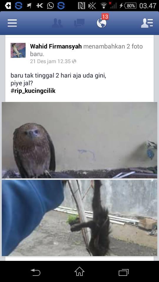 Kelakuan Alayer Salah Fatal