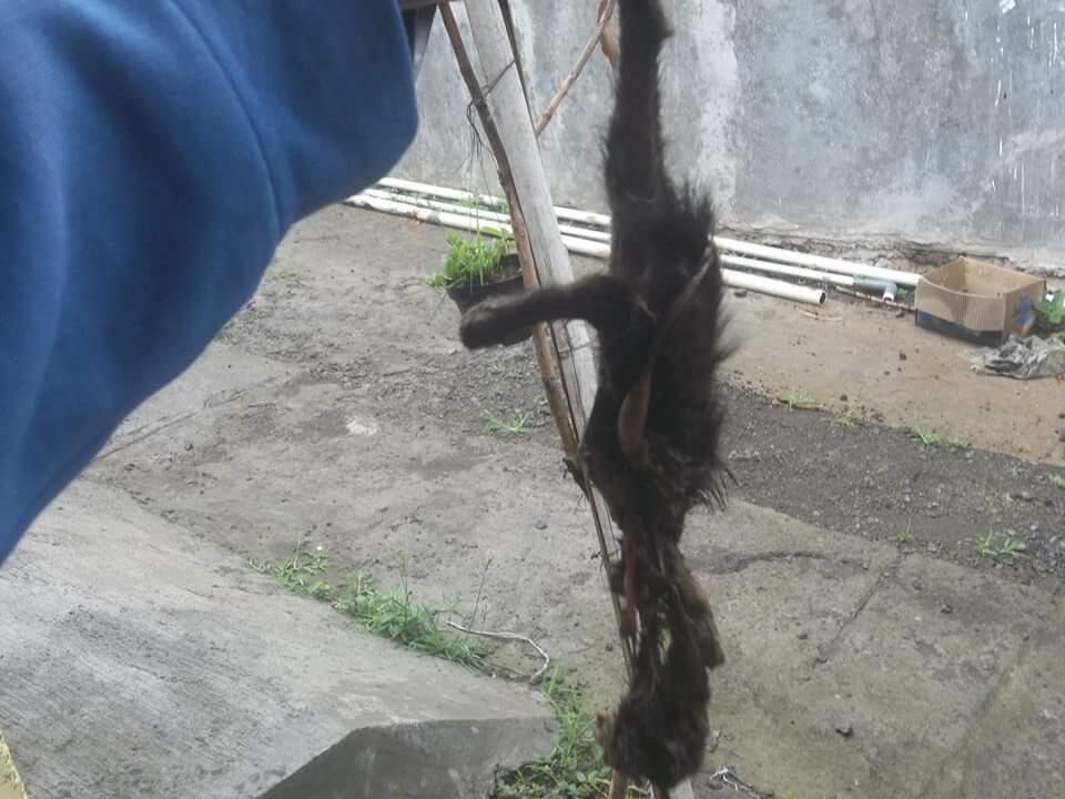 Kelakuan Alayer Salah Fatal