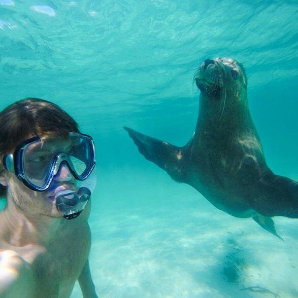 Allan Dixon: Selfie Ria gak harus ama pacar (no jomlo!)