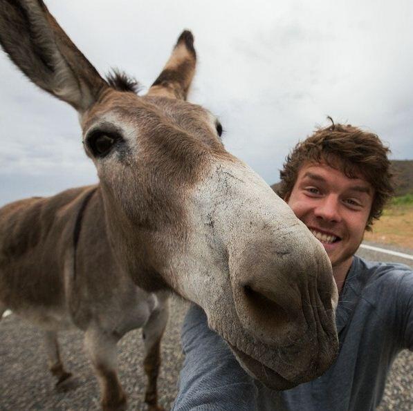 Allan Dixon: Selfie Ria gak harus ama pacar (no jomlo!)