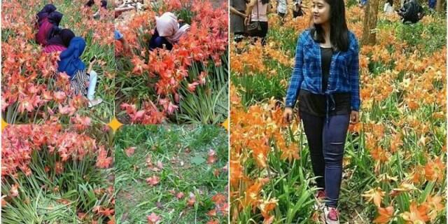 Jadi, siapa penjahatnya ?