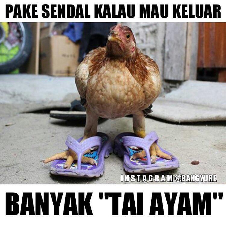 MEME, HUMOR CERDAS DARI INSTAGRAM @abangluwak GAK NGAKAK BATAIN AJA :D