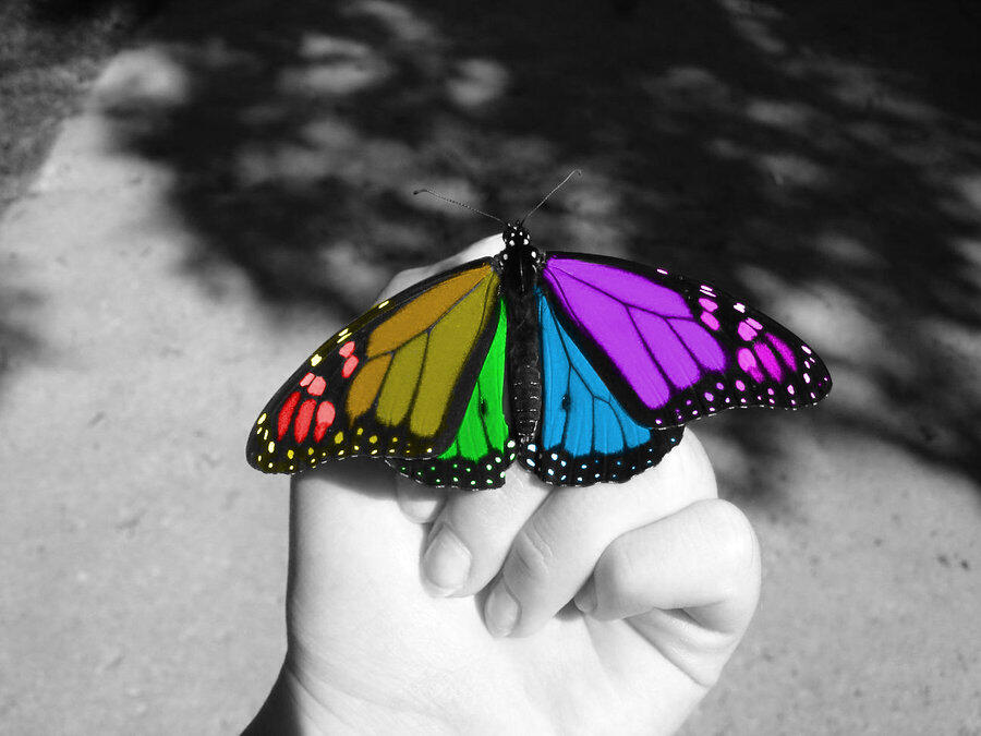 Warna di Edisi B/W