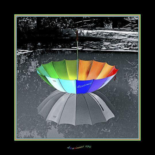 Warna di Edisi B/W