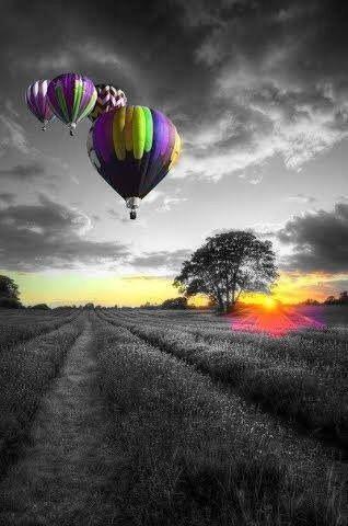 Warna di Edisi B/W