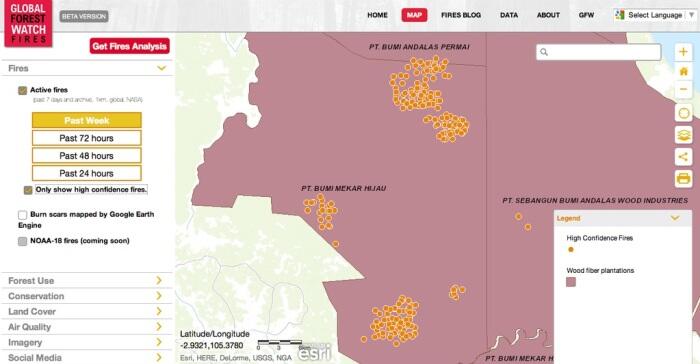 PT BUMI MEKAR HIJAU PERUSAHAAN PEMBAKAR HUTAN YG DI GUGAT 7T MILIK SINAR MAS GROUP