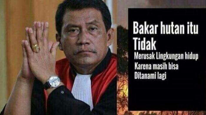 PT BUMI MEKAR HIJAU PERUSAHAAN PEMBAKAR HUTAN YG DI GUGAT 7T MILIK SINAR MAS GROUP