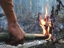 PT BUMI MEKAR HIJAU PERUSAHAAN PEMBAKAR HUTAN YG DI GUGAT 7T MILIK SINAR MAS GROUP